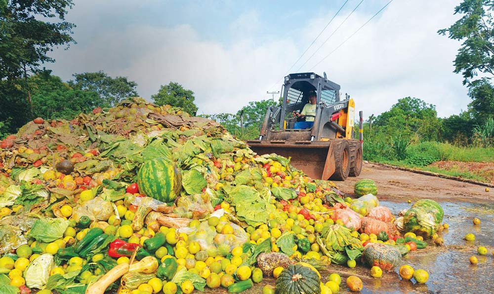 Alimentos no Brasil são jogados no lixo